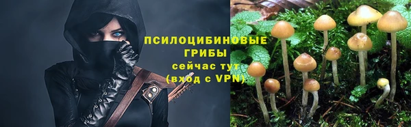 кокаин премиум Карпинск