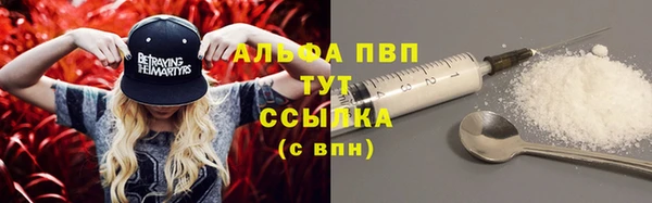 прущие грибы Чегем