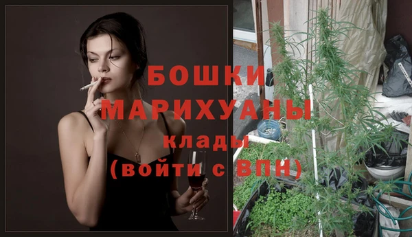 PSILOCYBIN Касимов