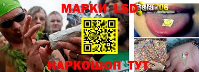 спиды Бийск