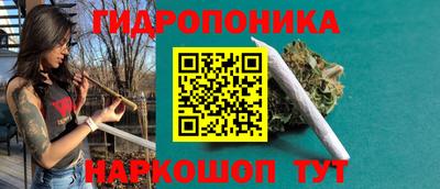гидропоника Гагарин