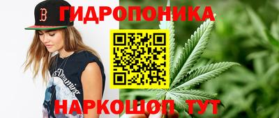 гидропоника Гагарин