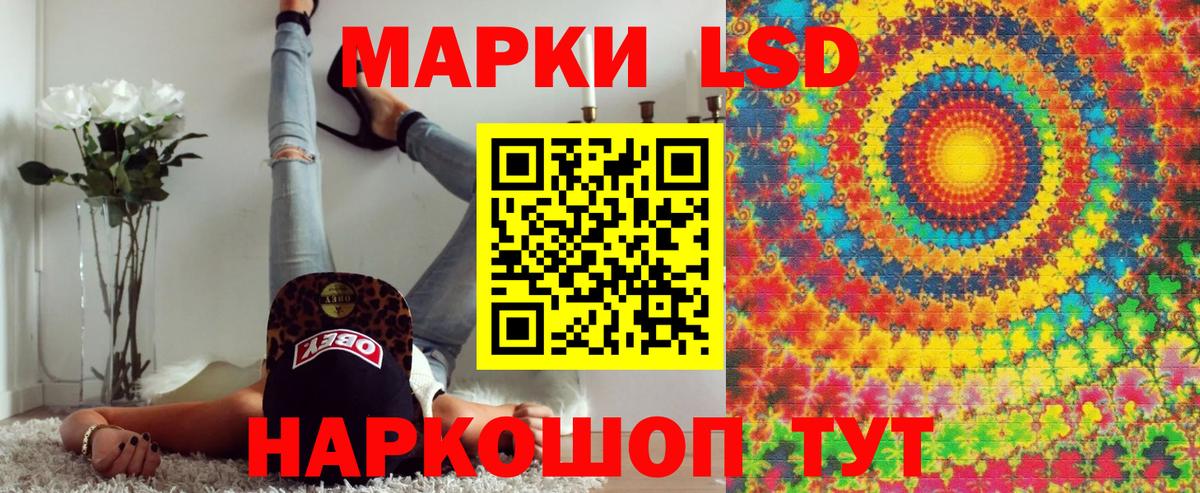Камышин  Наркотические марки  Вход с VPN  Наркотические марки 1,8мг 