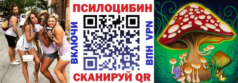 Галлюциногенные грибы Psilocybine cubensis  Камышин 