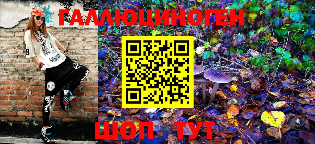 Галлюциногенные грибы прущие грибы  закладка  Псилоцибиновые грибы прущие грибы  Камышин 