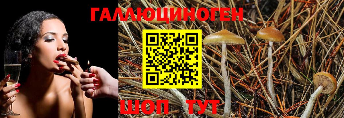 Галлюциногенные грибы MAGIC MUSHROOMS Камышин