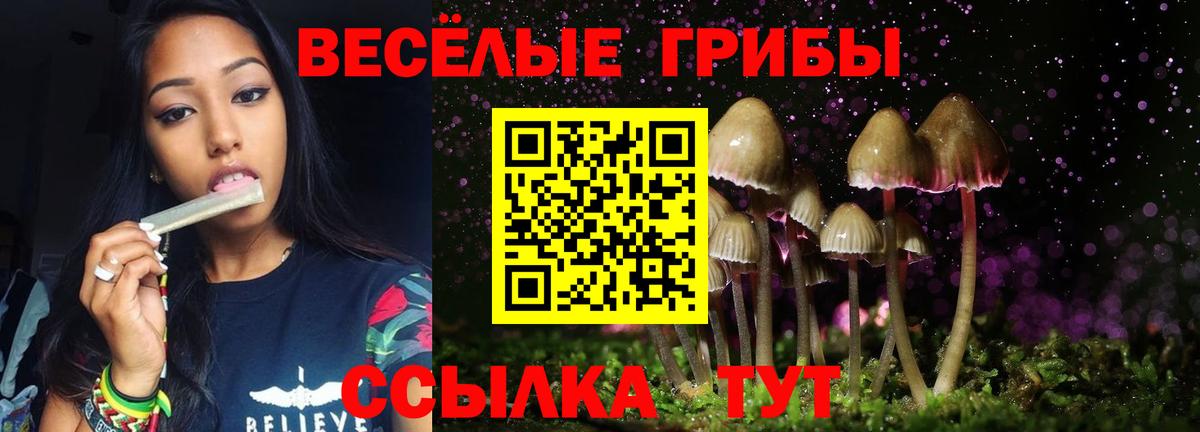 ГАШИШ Камышин