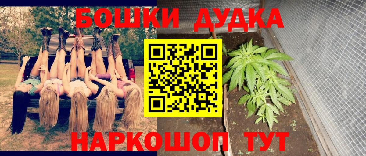 Канабис MAZAR  Вход с VPN  Бошки Шишки семена  Канабис Bruce Banner  Бошки марихуана AK-47  Камышин 